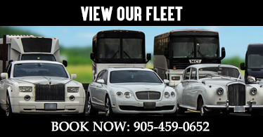 Limo and Party Bus Fleet