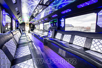 Party Bus - 45-50 Passengers